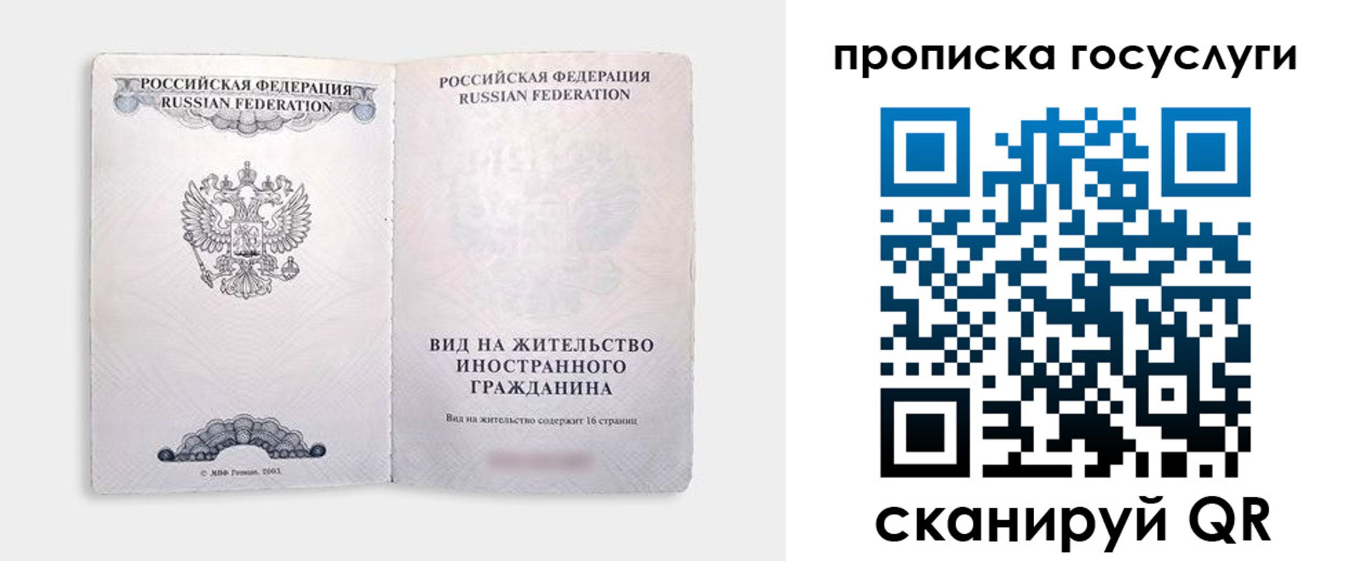 прописка поиск в Щиграх